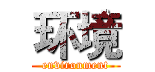 环境 (environment)