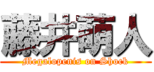 藤井萌人 (Megalopenis on Shock)