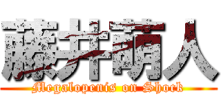 藤井萌人 (Megalopenis on Shock)