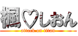 楓♡しおん (attack on titan)