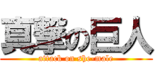 真撃の巨人 (attack on she-male)