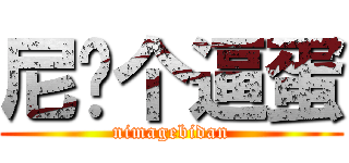 尼玛个逼蛋 (nimagebidan)