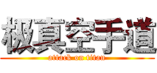 极真空手道 (attack on titan)