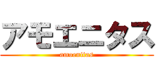 アモエニタス (amoenitas)