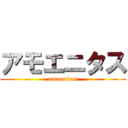 アモエニタス (amoenitas)