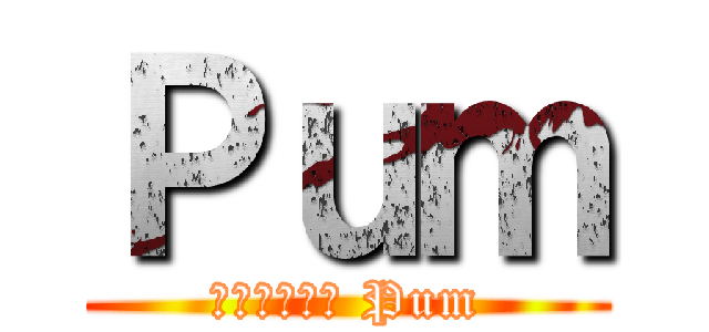 Ｐｕｍ (กุชื่อ Pum)