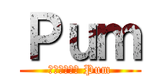 Ｐｕｍ (กุชื่อ Pum)