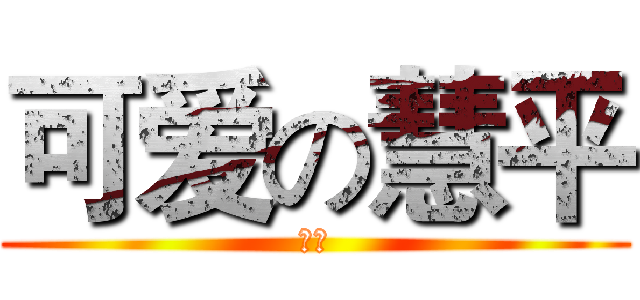 可爱の慧平 (晚安)