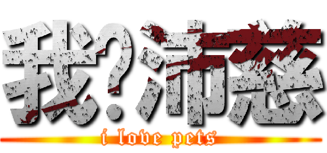 我爱沛慈 (i love pets)