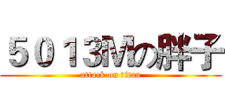 ５０１３Ｍの胖子 (attack on titan)