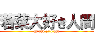 若菜大好き人間 (attack on titan)