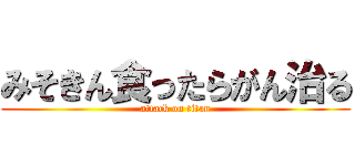 みそきん食ったらがん治る (attack on titan)