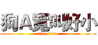 狗Ａ覽叫好小 (tiny bird)