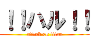 ！！ハル！！ (attack on titan)