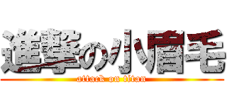進撃の小眉毛 (attack on titan)