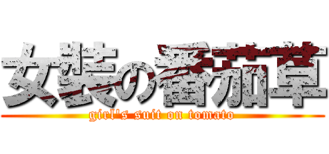 女裝の番茄草 (girl\'s suit on tomato)