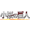 小桜の巨人 (attack on titan)