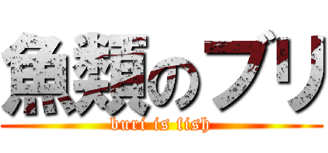 魚類のブリ (buri is fish)