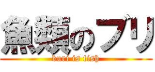 魚類のブリ (buri is fish)