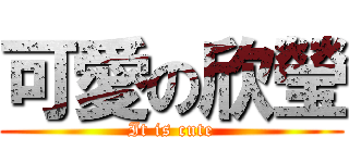 可愛の欣瑩 (It is cute)