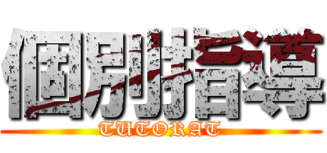 個別指導 (TUTORAT)