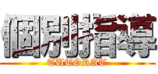 個別指導 (TUTORAT)