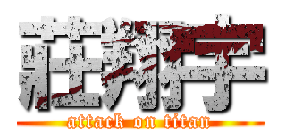 莊翔宇 (attack on titan)