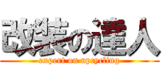 改装の達人 (expert on upcycling)