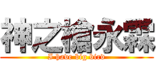 神之槍永霖 (I have big bird)