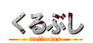 くるぶし (malleolus)