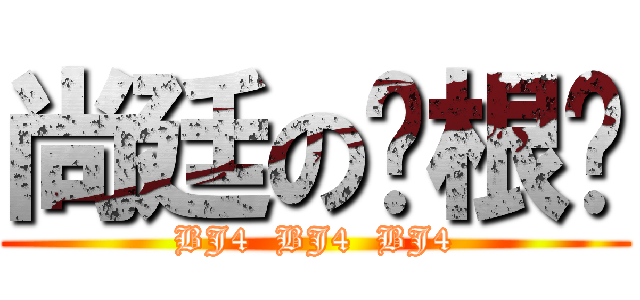 尚廷の哪根蔥 (BJ4  BJ4  BJ4)