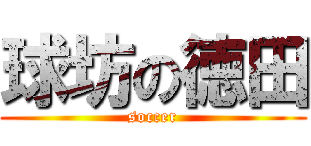球坊の徳田 (soccer)