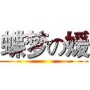 蝶梦の媛 ()