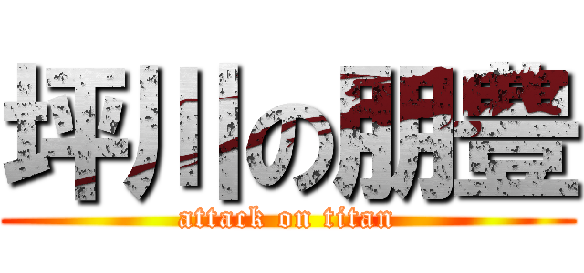 坪川の朋豊 (attack on titan)