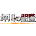 坪川の朋豊 (attack on titan)
