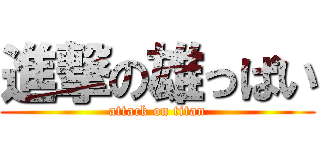 進撃の雄っぱい (attack on titan)