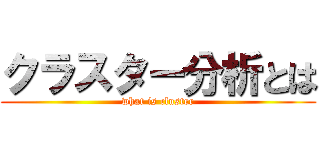 クラスター分析とは (what is cluster)