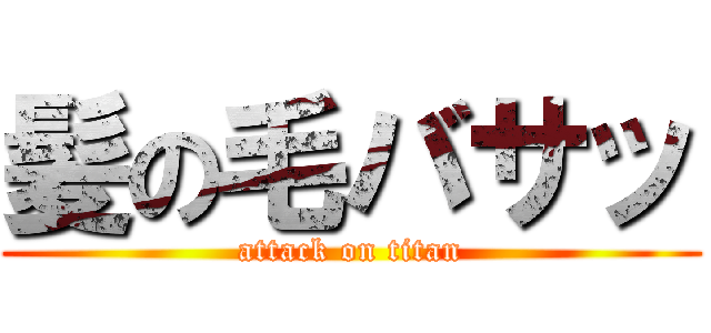 髪の毛バサッ (attack on titan)