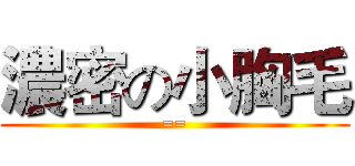 濃密の小胸毛 (==)