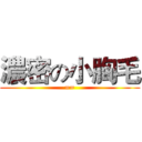 濃密の小胸毛 (==)