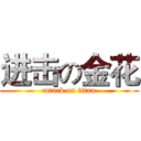 进击の金花 (attack on titan)