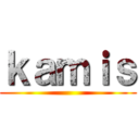 ｋａｍｉｓ ()