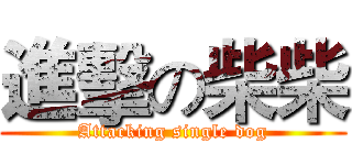 進擊の柴柴 (Attacking single dog)