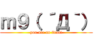 ｍ９（ ´Д｀） (you are an idiot!)