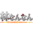 林なんなん (HayashiNannan)