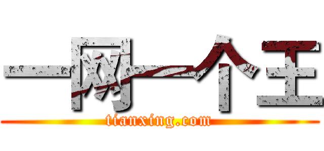 一网一个王 (tianxing.com)