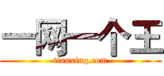 一网一个王 (tianxing.com)