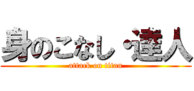 身のこなし・達人 (attack on titan)