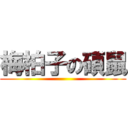 梅柏子の碩鼠 ()