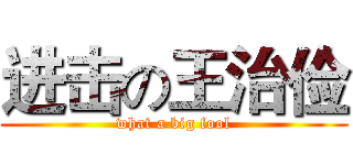 进击の王治俭 (what a big fool)